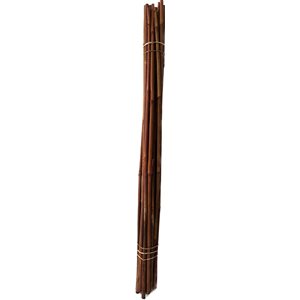 Tuteur bambou 36" pqt.25 Couleur rouille