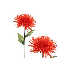 Chrysantheme fuju sur tige 25" Orange (un.sac.12)