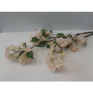 Cerisier Branchu 41" Crème / Rose