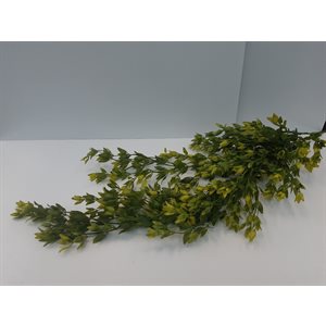 Bouquet mini ficus 35" Vert