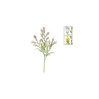 Branche fleur étoile (gypse) x3, 27½" Asst