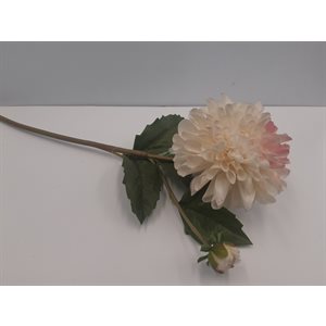 Dahlia Spray 19.5" Beauty (crème rose)