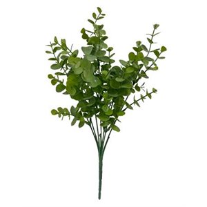 Boxwood bush 13" Vert